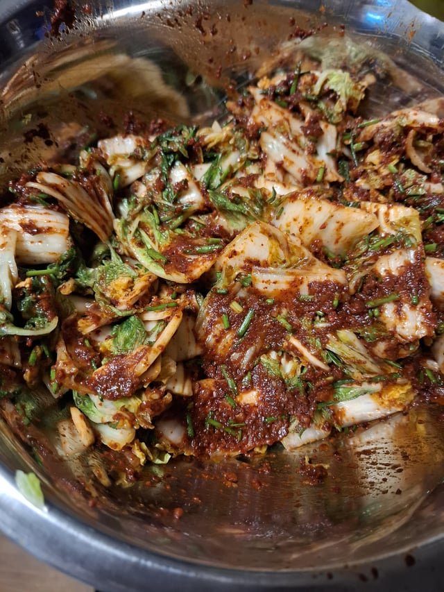 Fresh batch of kimchi! Made maangchi’s recipe for the first time, couldn’t use the shrimp paste cause I dont have it, what do you use to substitute it?