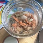 Is my kimchi ok?