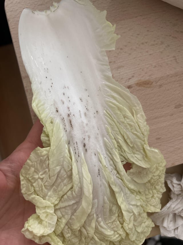 Is this safe to eat?