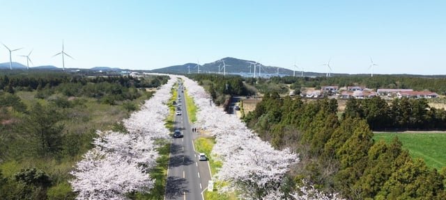Jeju-do Hosts World Environment Day 2025