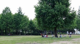 2 foreigners arrested over walking path fire in Seoul Forest Park