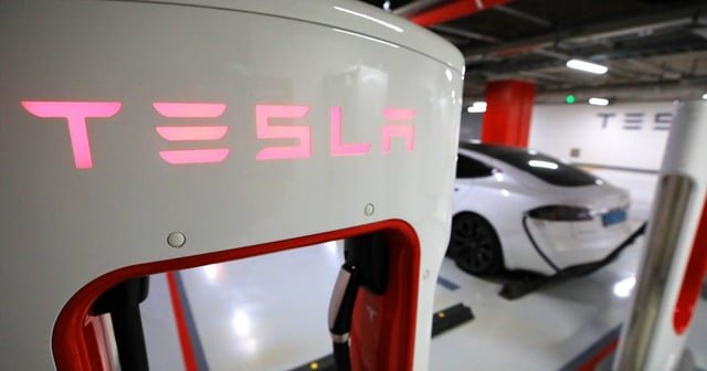 Tesla canceled, Hyundai GV70 chosen amid Georgia detention anger | Over 300 Koreans detained in Georgia; 59.2% disappointed with U.S. actions