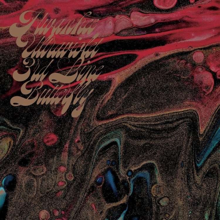 3rd Line Butterfly : Hwanhee Ultraviolet (환희보라바깥)