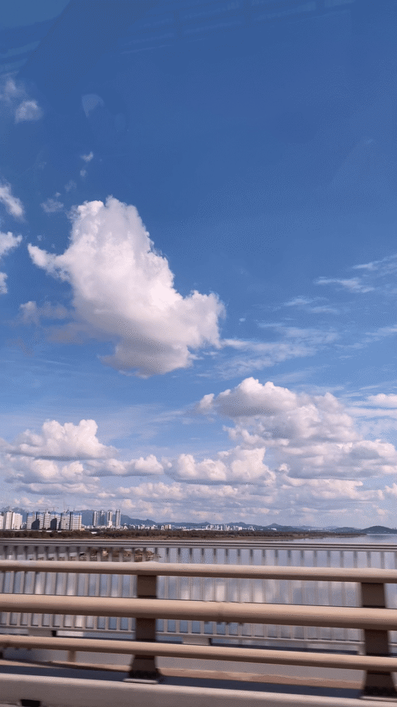 Silver grass festival at Sky park