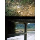 korean 29M on a train back to seoul after helping family with annual rice harvest, AMA