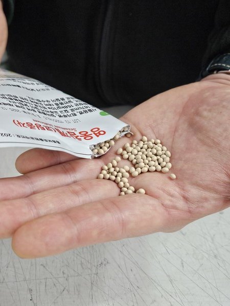 흥농상사, 신품종 영웅 참깨 종자 보급… 파종 쉬운 코팅 씨앗 유통