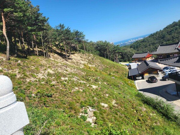 ์ฐ๋ฆผ์ฒญ, ์
๋ชฉ๋ฒ์ฑ ๊ท์ ์ํย ์ฐ๋ถ ํผํด ์๋ฐฉ