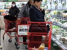 Import prices log fastest increase in 19 months in Nov. on weaker won: BOK