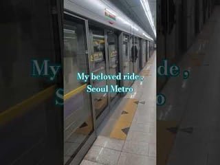 The Subway- my treasured way getting around.