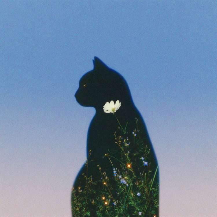 Short Stuff 79 : Ushio, RYU SEOKWON, Astral Drift, yoonjae, Yang Chang Keun, Seyan Kim