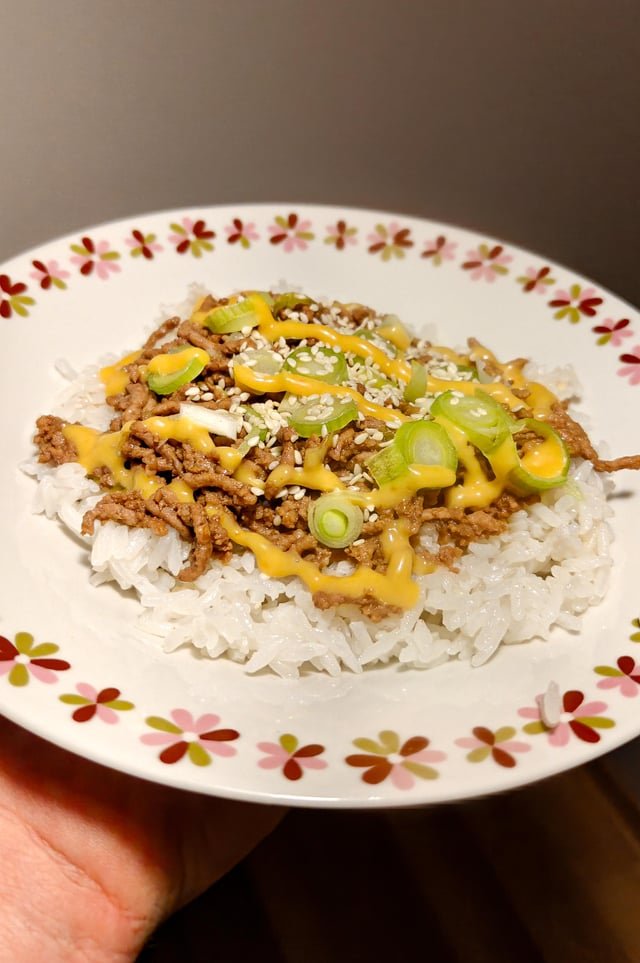 I made some korean beef rice bowl