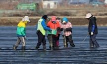 Inside Korea’s migrant population: 10 key takeaways from latest survey