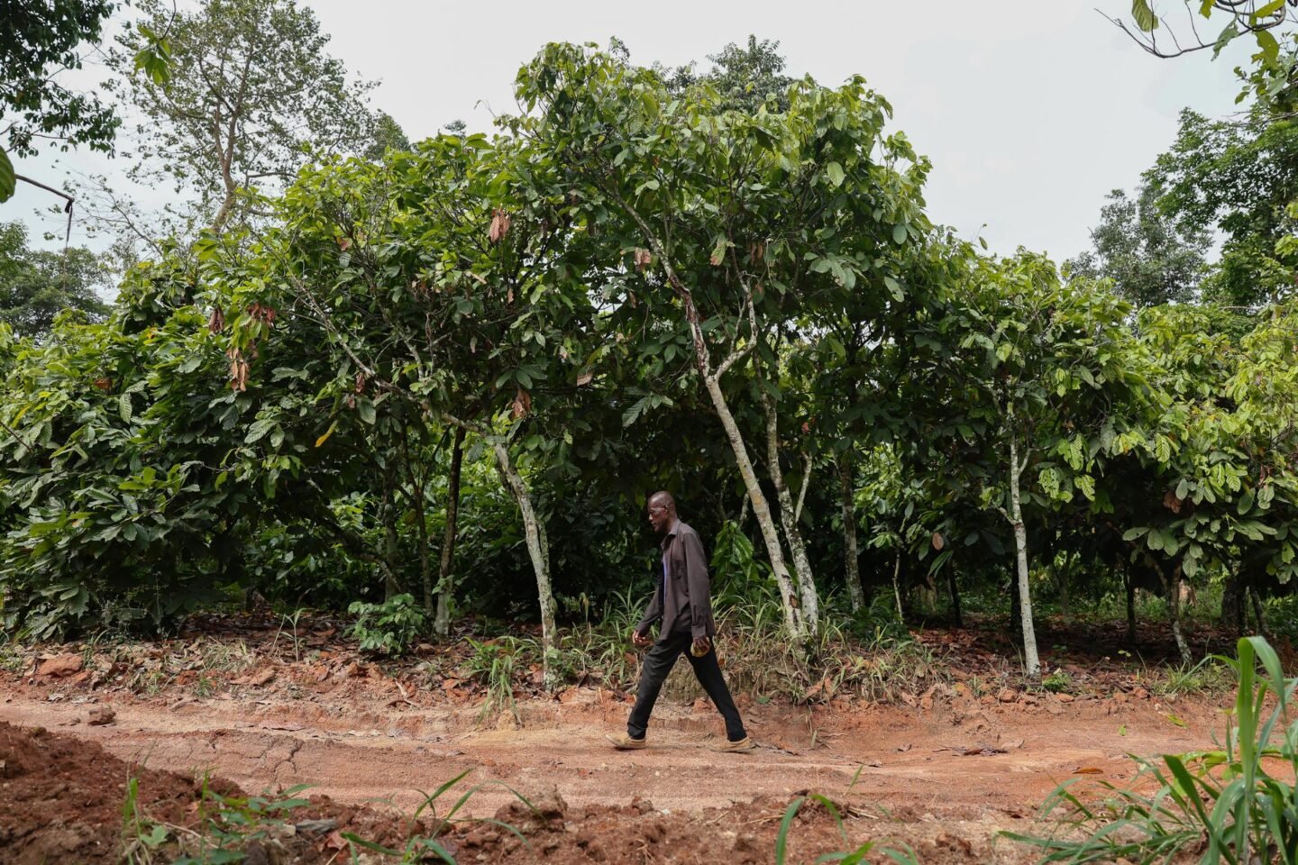 Fertilizer crisis hits farmers as Iran war disrupts supply