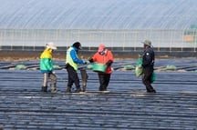 Immigrants swoop rural county out of population collapse