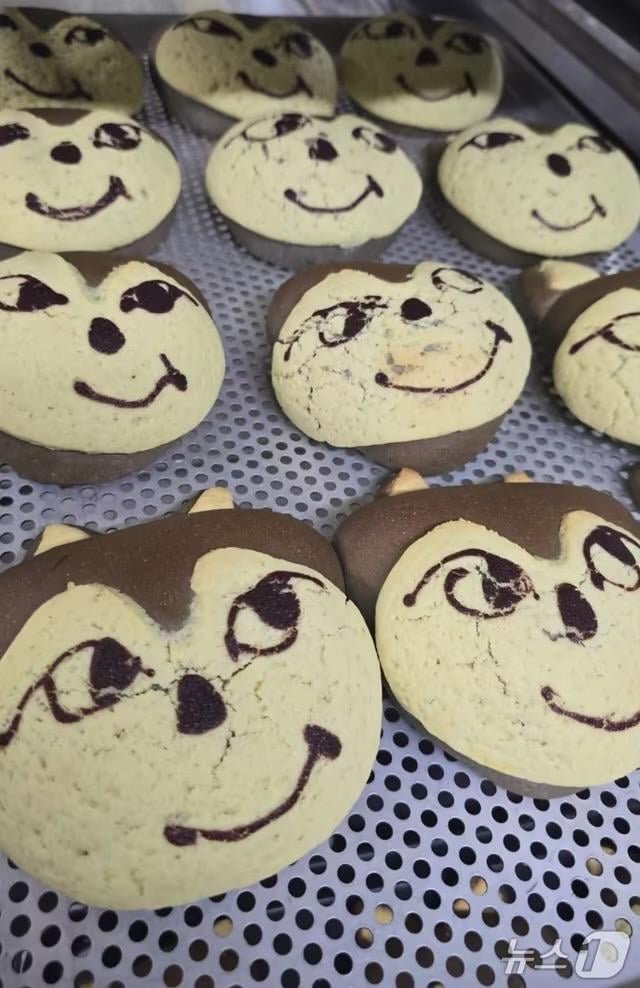 “Chic expression ‘Neukgu bread,’ ‘Change Hanwha to the Wolves’”… Daejeon captured by ‘wolf fever’ | “늑구빵, 시크한 표정” “한화 ‘울브즈’로 바꿔라”…대전 ‘늑대 앓이’ 들썩