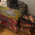 Korean cat and his 면