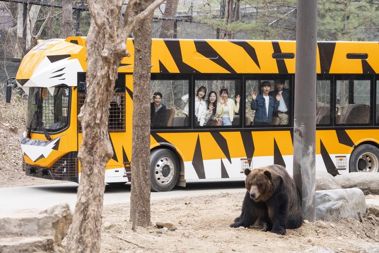 Everland’s spring reinvention features upgraded safari, performances