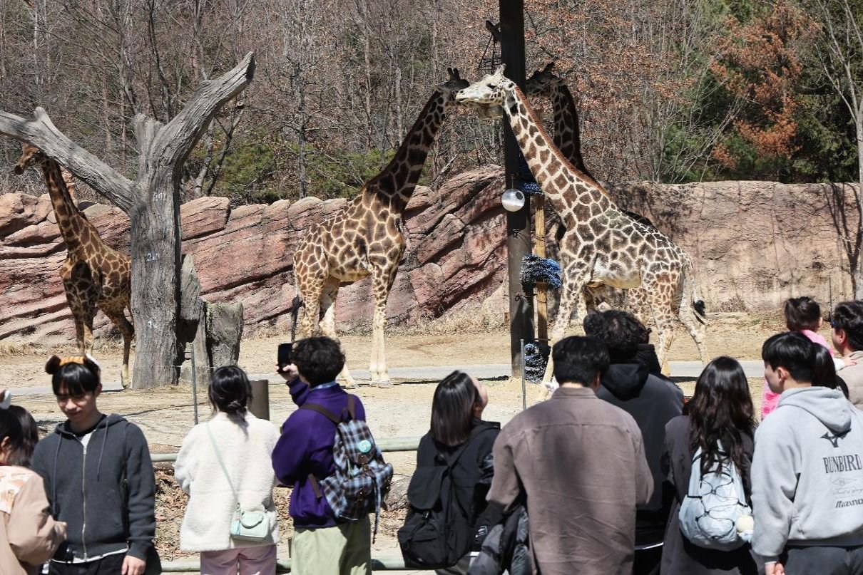 New zoo disease rules aim to curb outbreaks across Korea