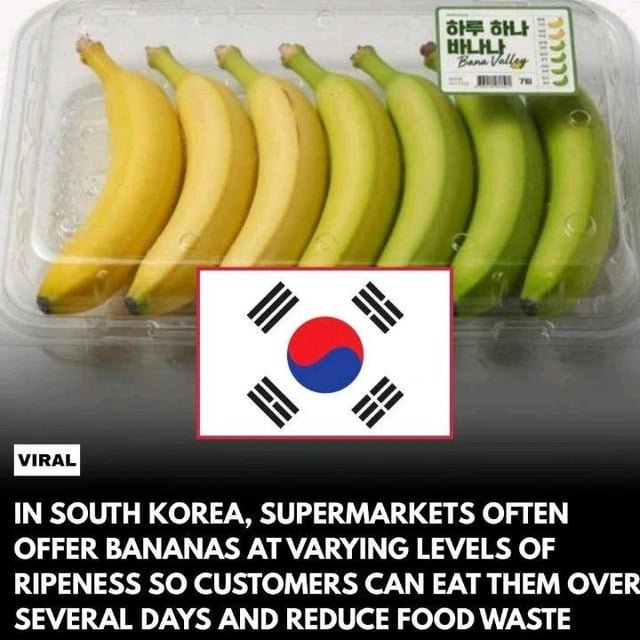 I want my avocados sold like this!