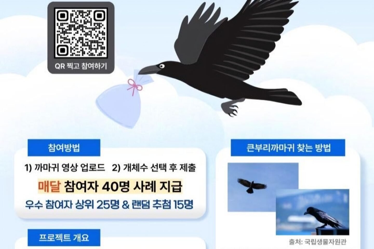 As crows dive-bomb pedestrians, gov’t warns against eye contact