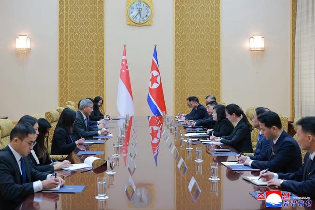 Top diplomats of N. Korea, Singapore hold talks in Pyongyang