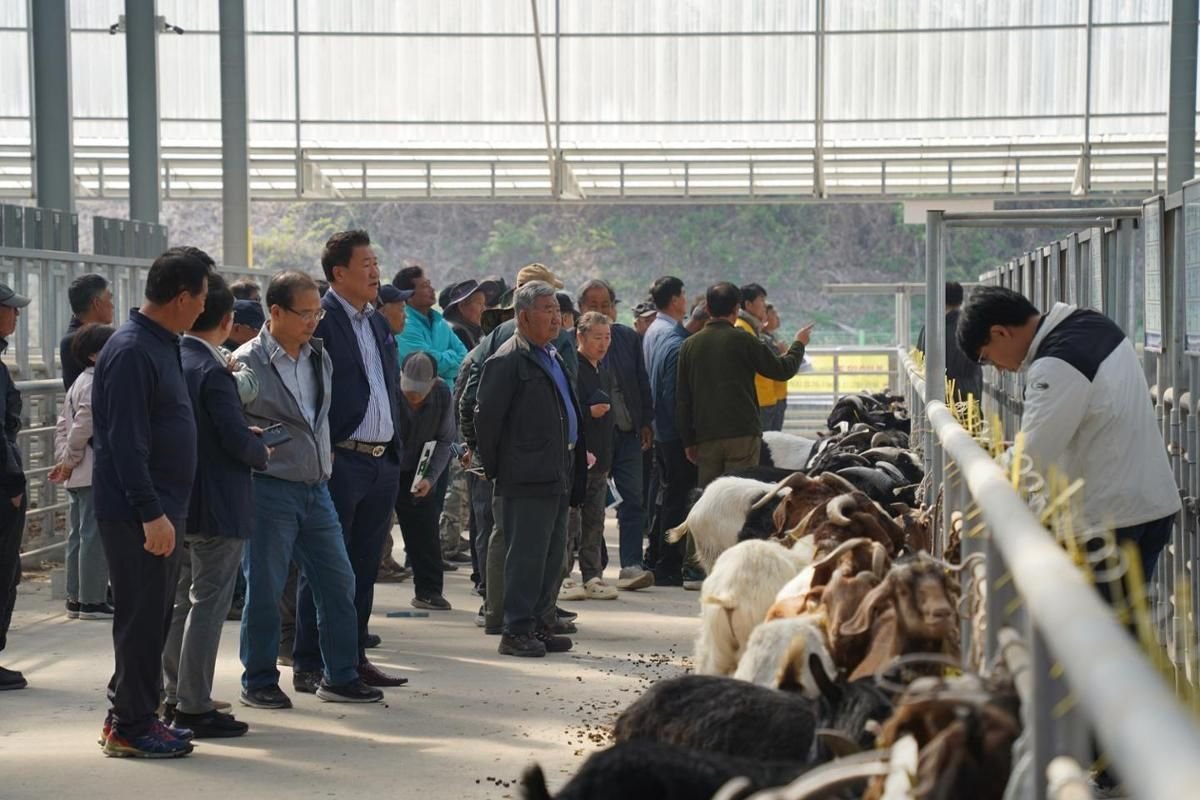 Ahead of Korea’s dog meat ban, this meat is booming