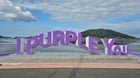 shinan purple island