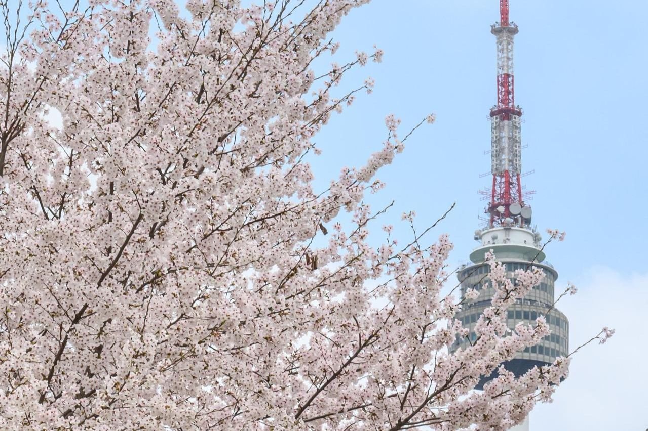 From mountain peaks to film sets, foreign tourists redefine Seoul itineraries