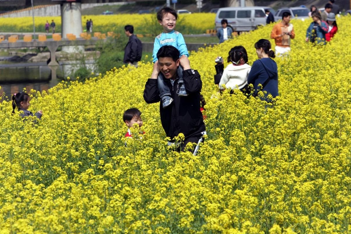 Seoul invites families to free weekend circus classes