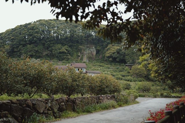 298 Missing Cases Reopened After Jeju Cop Allegedly Cleared 2 People Later Found Dead