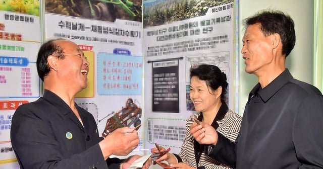 North Korea patents soybean-based chocolate to bypass cocoa and sanctions